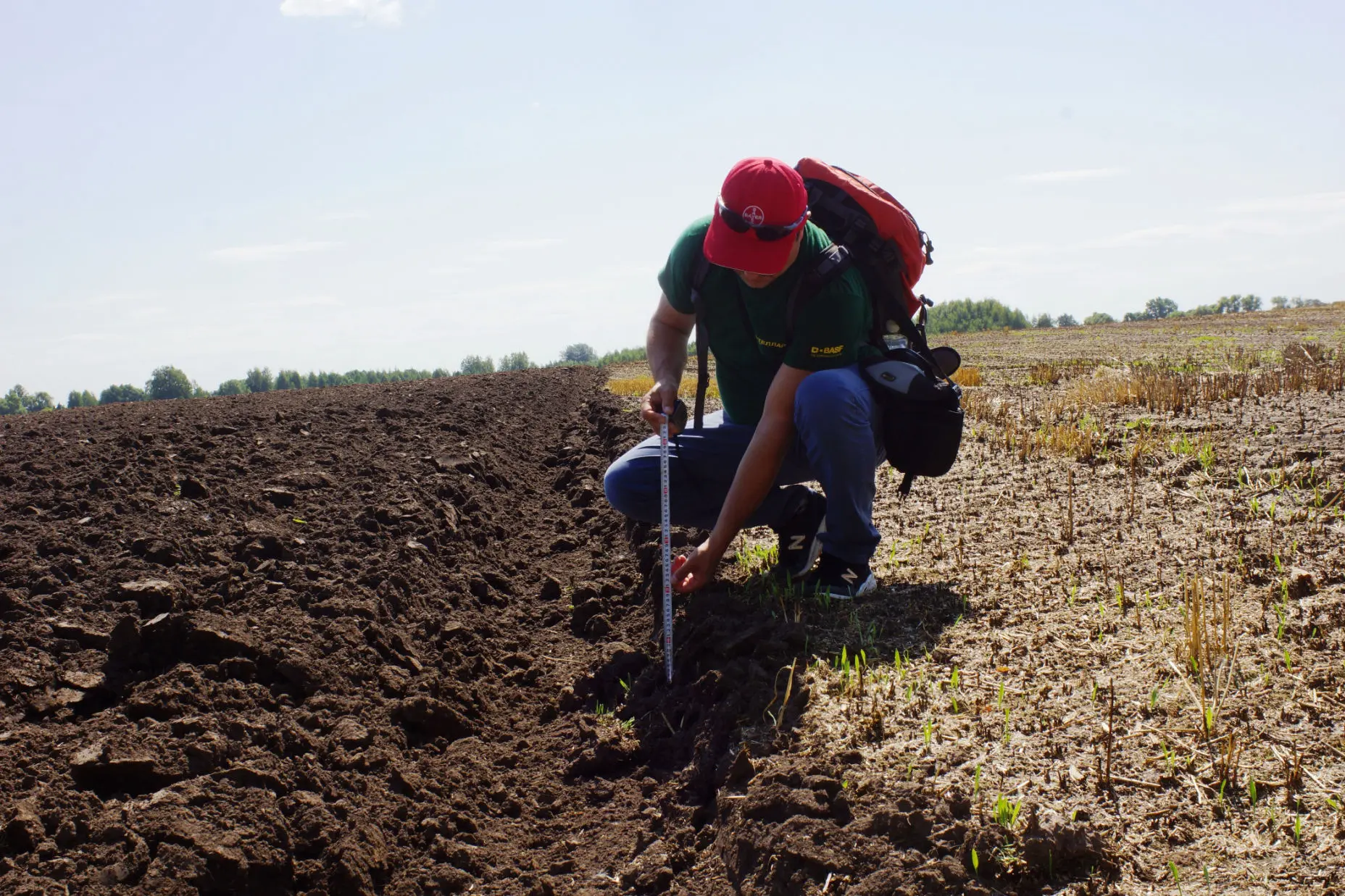 agribusiness consulting services