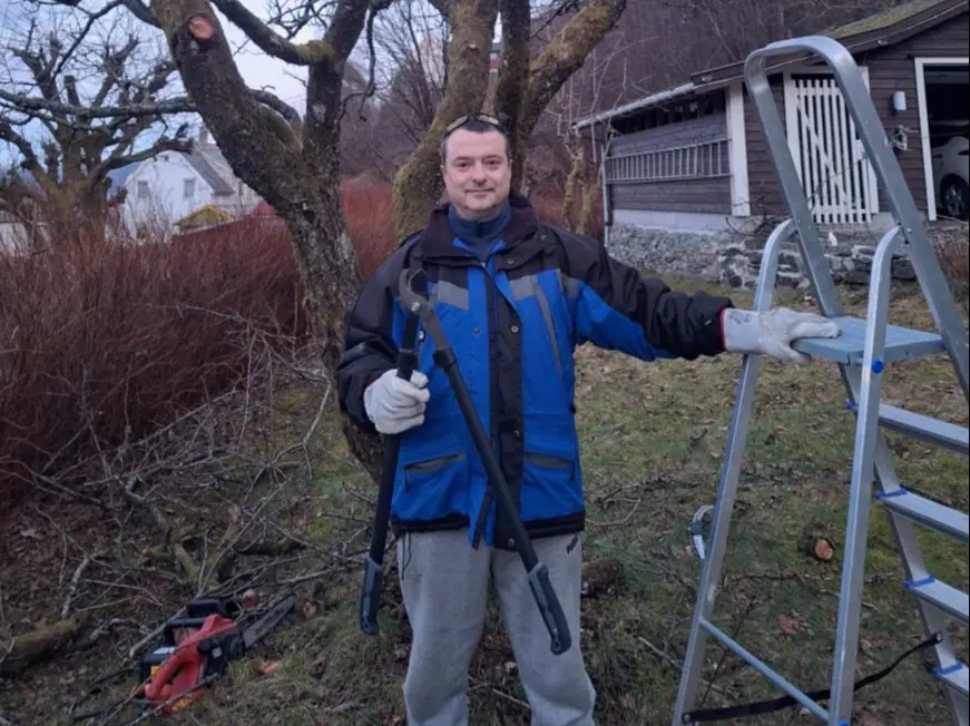 Pruning and training trees service, professional agronomy service Bergen Norway